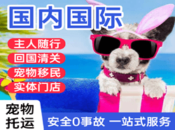 新郑机场托运国际宠物托运 【国